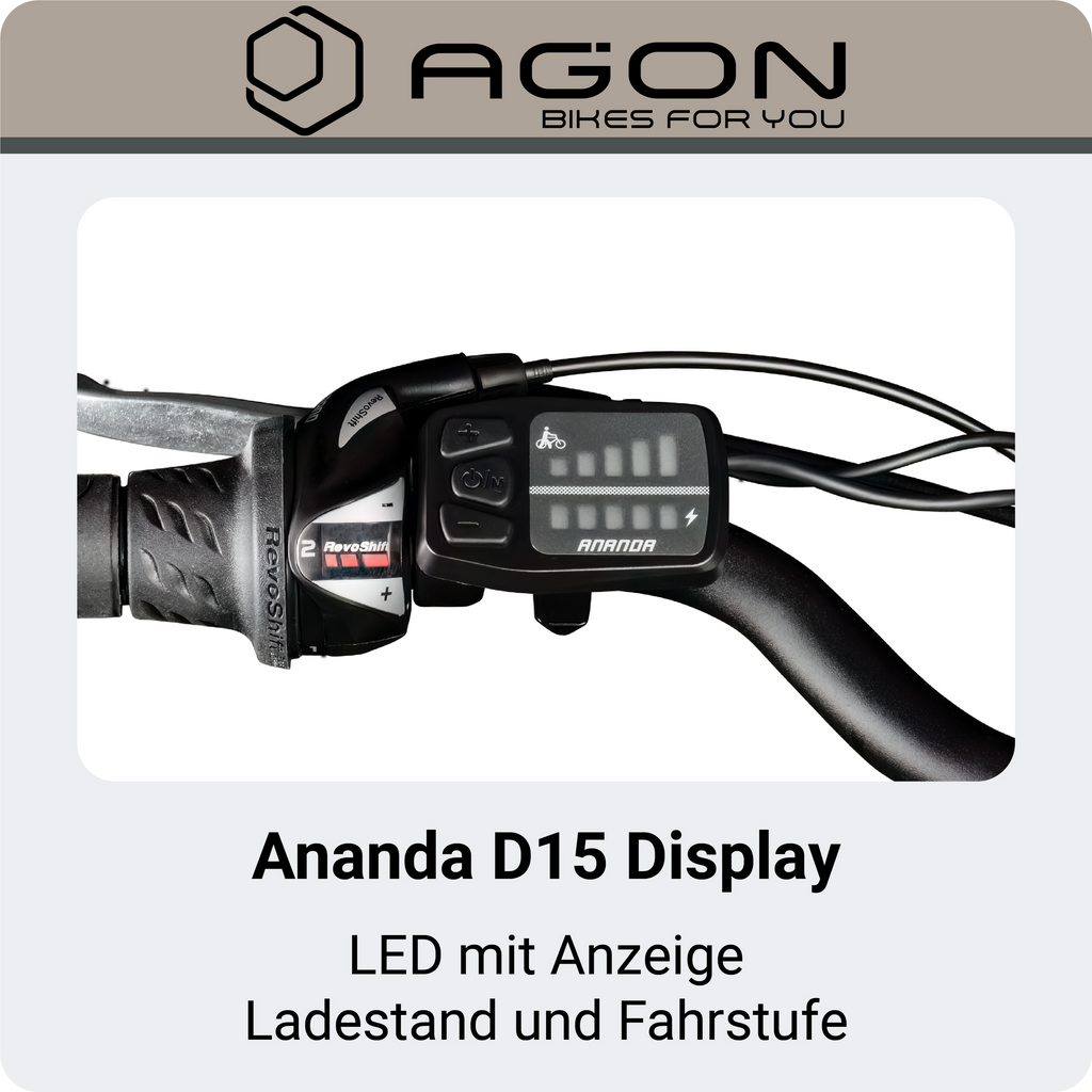 Nahaufnahme des Ananda D15 LED-Displays zur Anzeige von Ladestand und gewählter Unterstützungsstufe am Lenker.