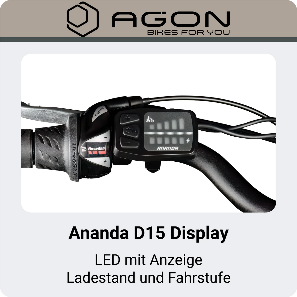 Nahaufnahme des Ananda D15 LED-Displays zur Anzeige von Ladestand und gewählter Unterstützungsstufe am Lenker.
