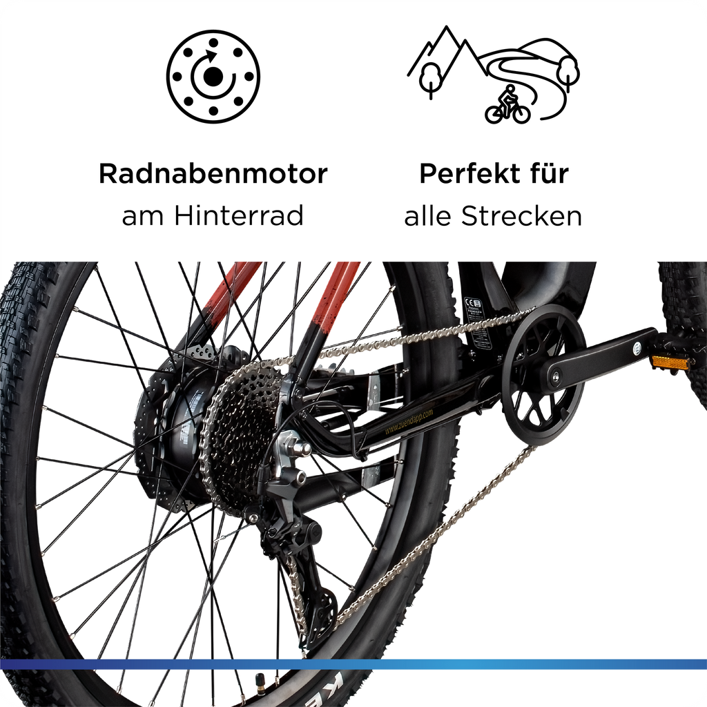 Nahaufnahme des Hinterrad-Nabenmotors am E-Bike; Symbole verdeutlichen die Eignung für vielfältige Streckenprofile und das Gelände.